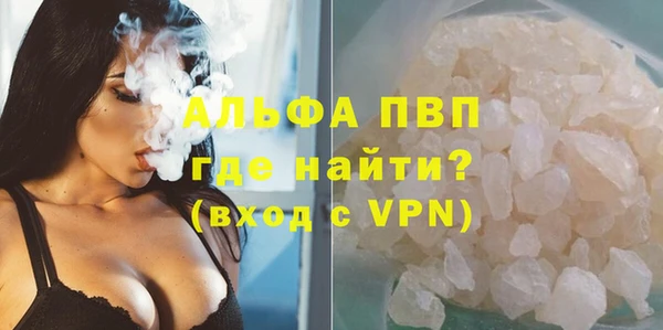 шишки Белокуриха