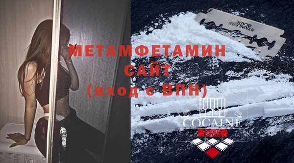 шишки Белокуриха