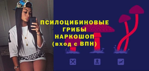 PSILOCYBIN Белоозёрский