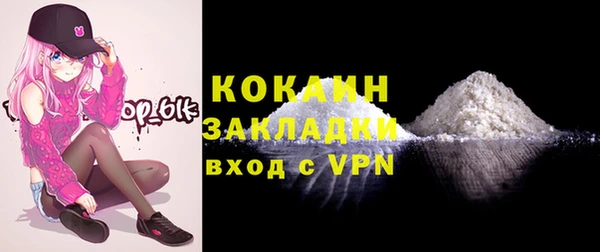 шишки Белокуриха