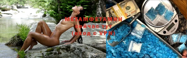 шишки Белокуриха