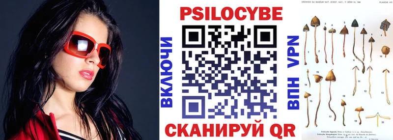 наркошоп  Шиханы  Галлюциногенные грибы прущие грибы 