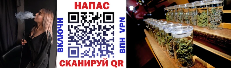 Марихуана конопля  как найти наркотики  Шиханы 